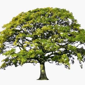 Meet your Posher, Hayden